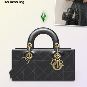 Christian Dior Bag ( Decor )