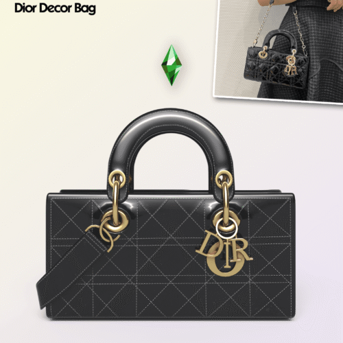 Christian Dior Bag ( Decor )