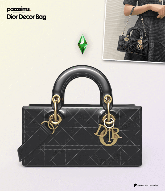Christian Dior Bag ( Decor )
