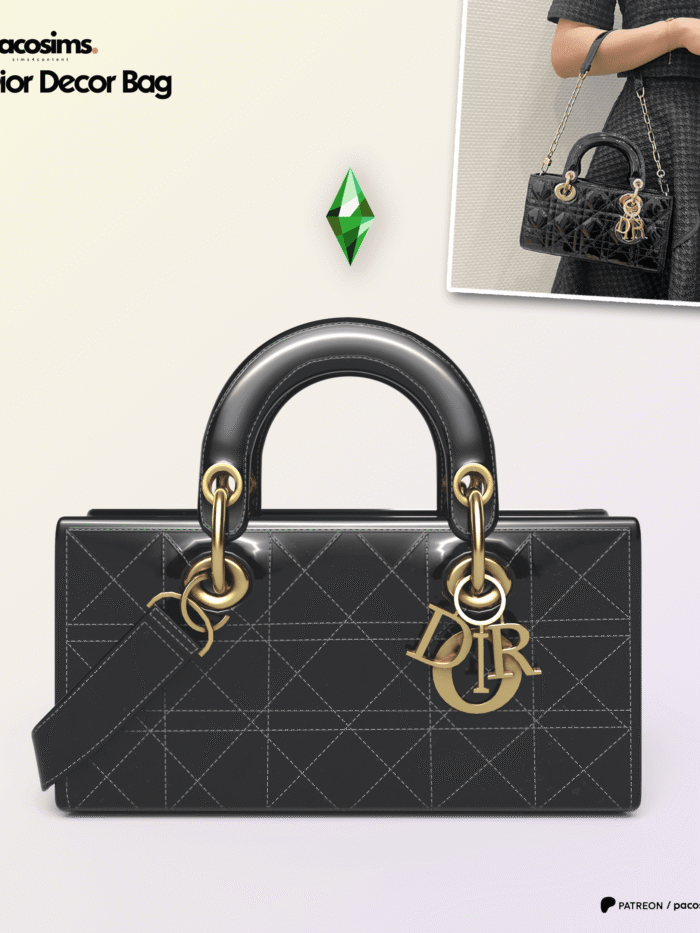 Christian Dior Bag ( Decor )