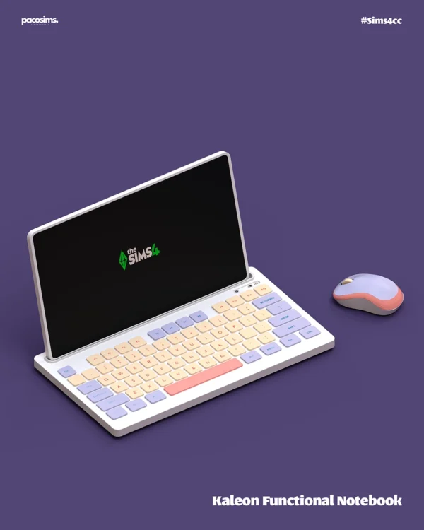 Kaleon Functional Notebook